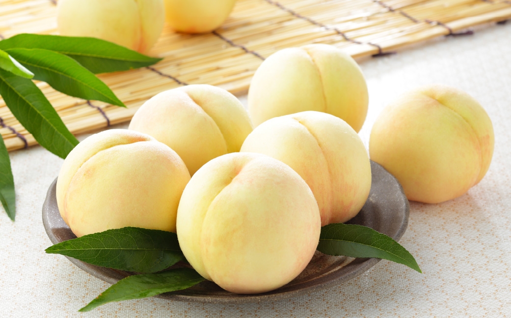 岡山県産 岡山白桃 ロイヤル Lサイズ 約200g×2玉・ シャインマスカット 晴王 約400g×1房 詰合せ 白桃 モモ もも 桃 ぶどう ブドウ 葡萄 マスカット くだもの 果物 果実 フルーツ 国産 家庭用 ギフト 贈り物 贈答 【 2026年7月上旬～8月下旬発送予定 】