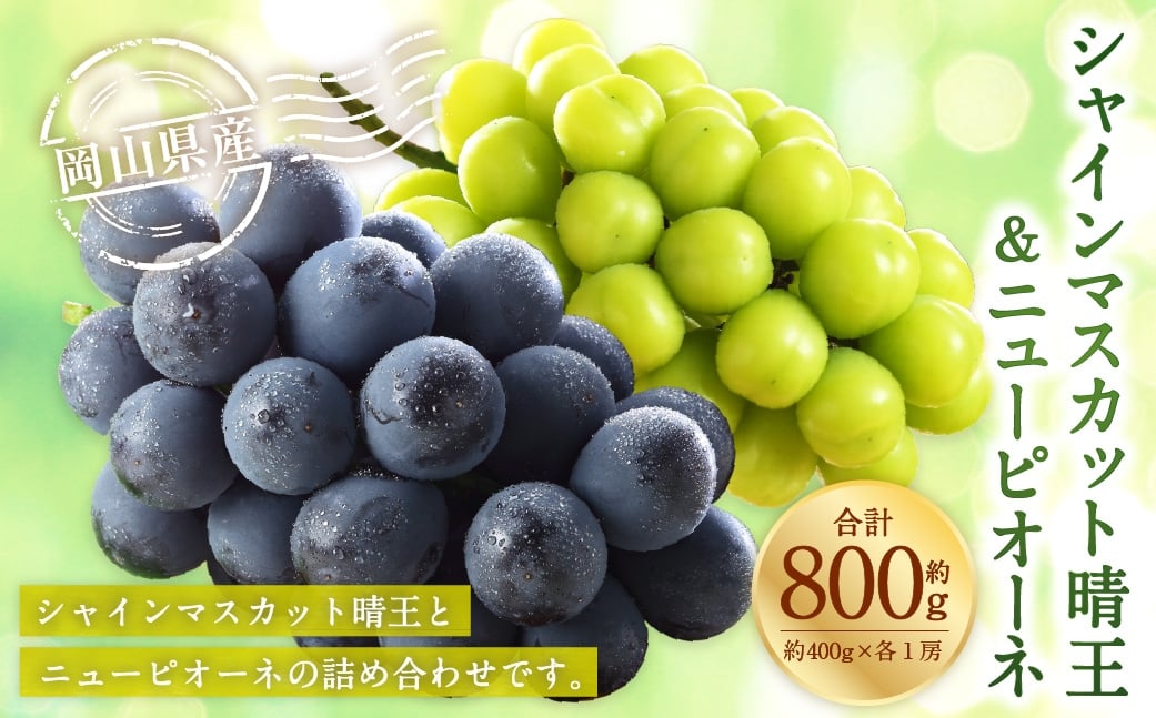 岡山県産 シャインマスカット 「 晴王 」 と ニューピオーネ Lサイズ 計約800g ぶどう ブドウ 葡萄 くだもの 果物 果実 フルーツ 国産 マスカット 【 2026年8月下旬～9月下旬発送予定 】
