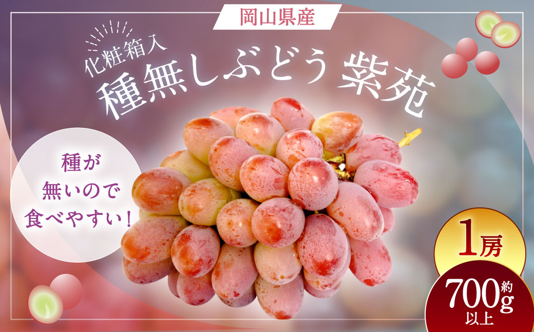 紫苑 1房（700g以上） 化粧箱入り 【2026年10月下旬～11月下旬まで発送予定】 ／ 葡萄 ぶどう 果物 果実 フルーツ 種なし 岡山県 美咲町 冷蔵