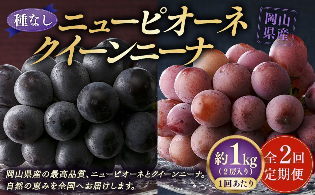 【定期便2回】 ［種なし］ 岡山県産 ニューピオーネ ・ クイーンニーナ 1kg箱（2房入り） 【2025年8月下旬発送開始】 ／ ぶどう ブドウ 葡萄 大粒 種なし 種無し フルーツ 果物 くだもの 果実
