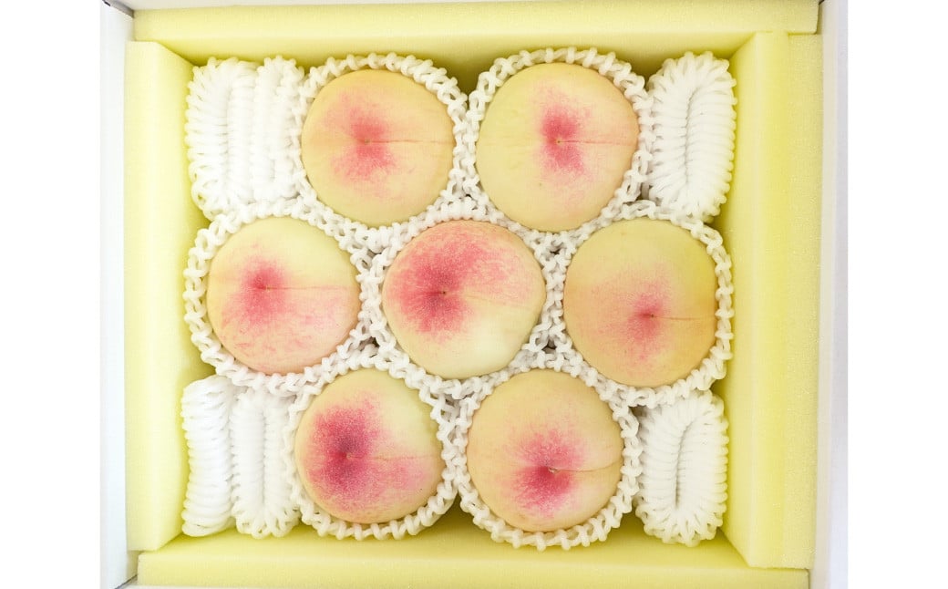 岡山県産 白桃 約2kg （6～8玉） 【2025年7月上旬～8月上旬発送予定】 ／ 桃 もも 果物 果実 フルーツ スイーツ デザート 岡山県 美咲町 冷蔵