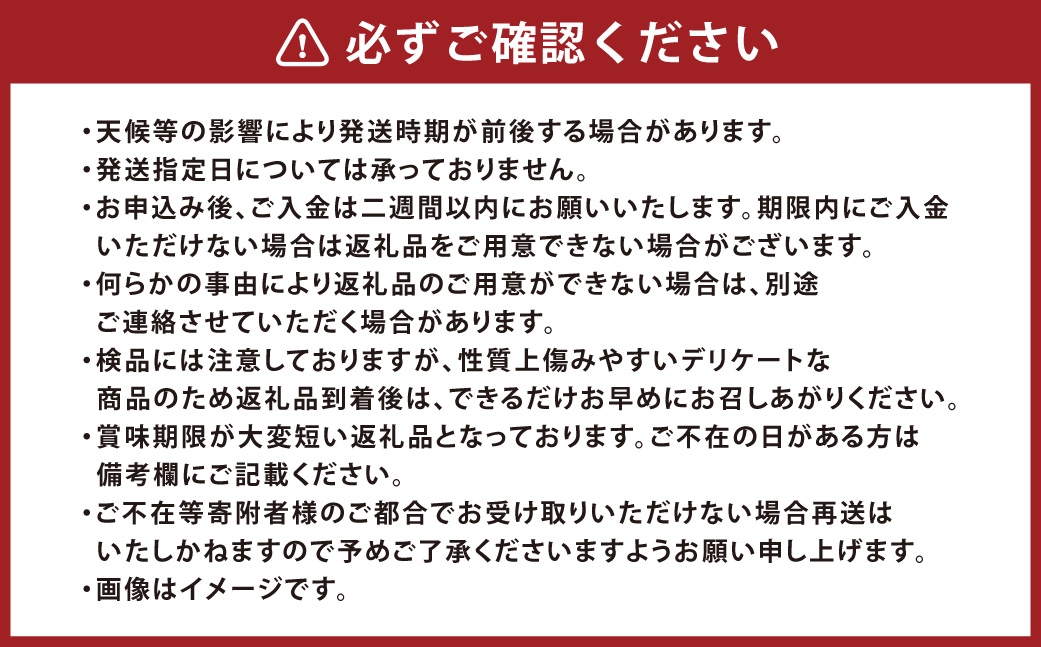 つる付き！ ニューピオーネ ＆ 晴王 シャインマスカット Cセット 露地栽培 ブドウ ぶどう 葡萄 果物 くだもの フルーツ 果実 マスカット 食べ比べ 【 2026年9月上旬～10月下旬発送予定 】