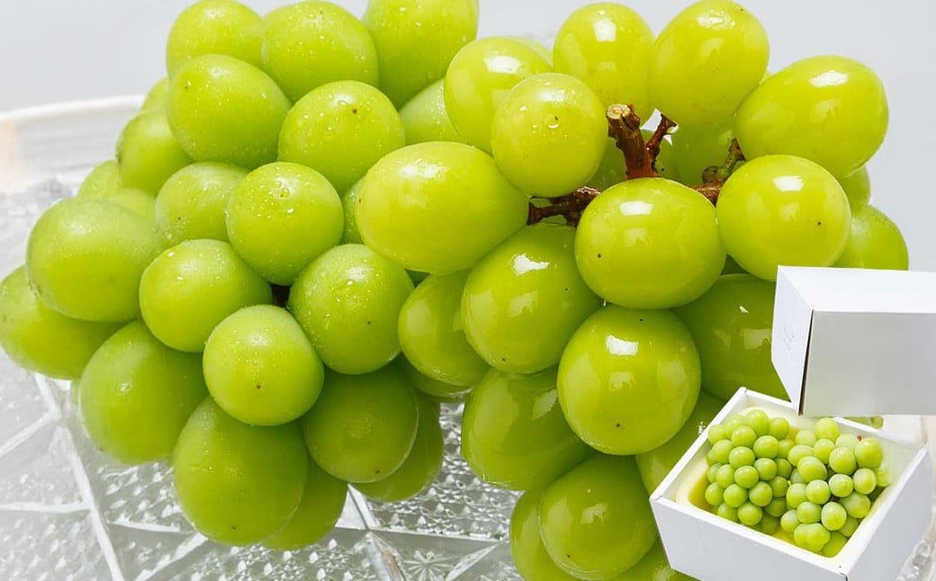 【3回定期便】岡山県産 シャインマスカット 晴王 計2房 （1房600g以上） 【2025年8月下旬発送開始】 ／ 3回 マスカット 葡萄 ぶどう 果物 果実 フルーツ 定期便 岡山県 美咲町 冷蔵