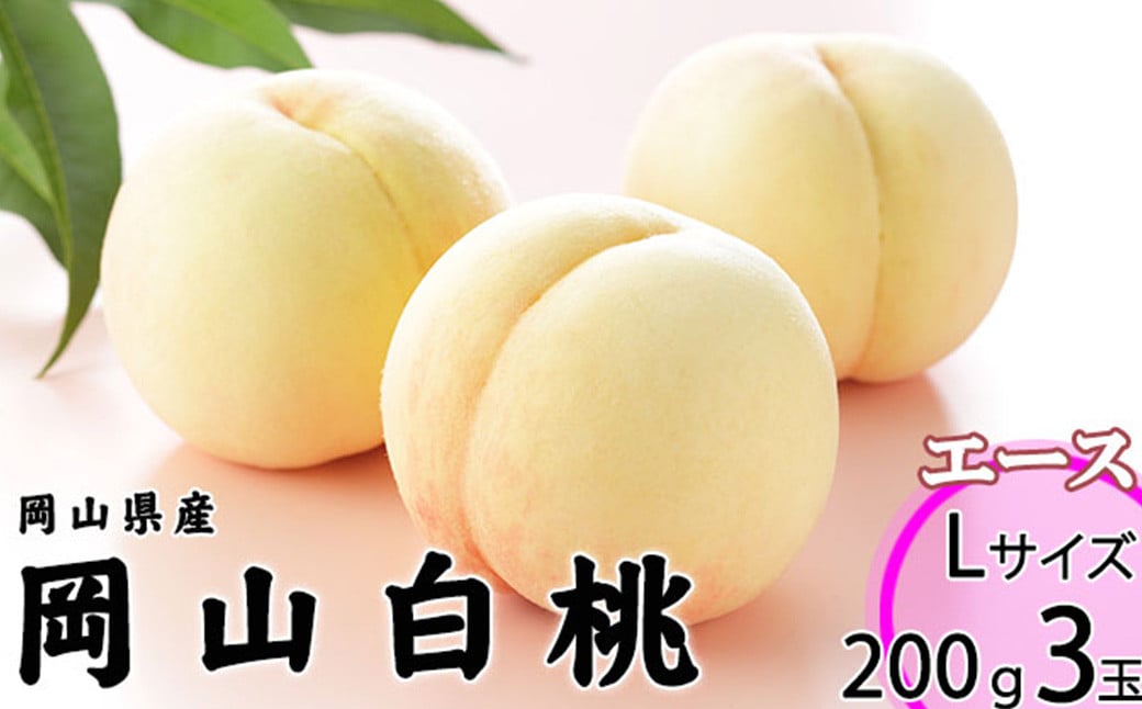 岡山白桃 エース 3玉 × 約200g 計約600g 岡山県産 （早生種・中生種） 【2026年7月上旬～8月下旬迄発送予定】 ／ 白桃 桃 もも 果物 果実 フルーツ 岡山県 美咲町 冷蔵