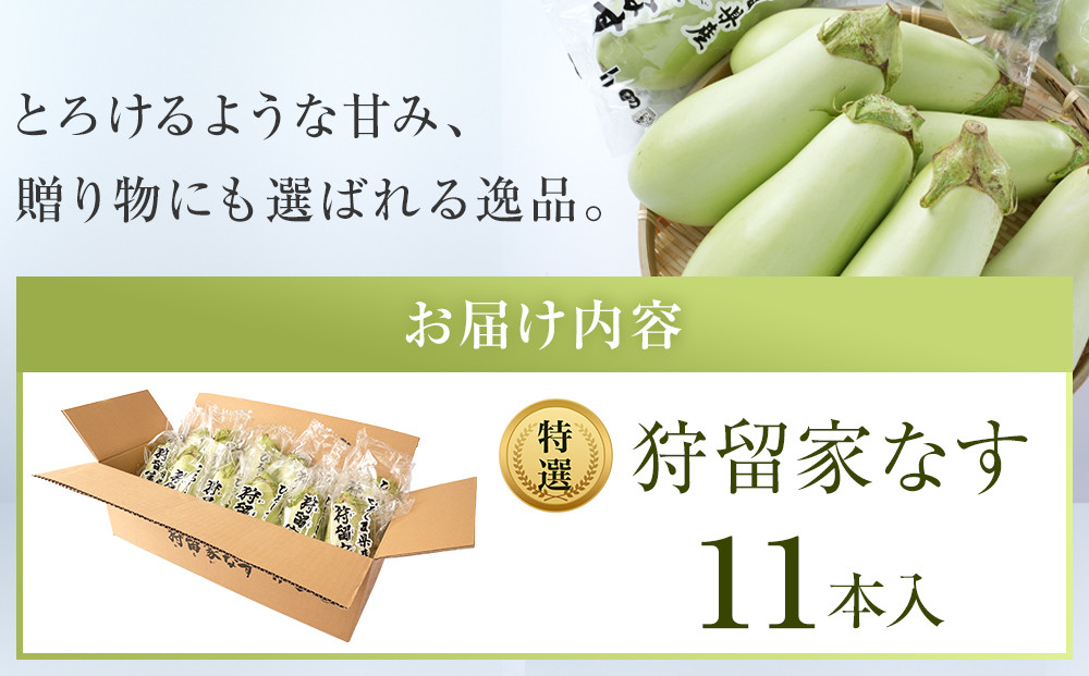 【先行予約】狩留家なす 11本 ≪2026年7月～発送開始≫