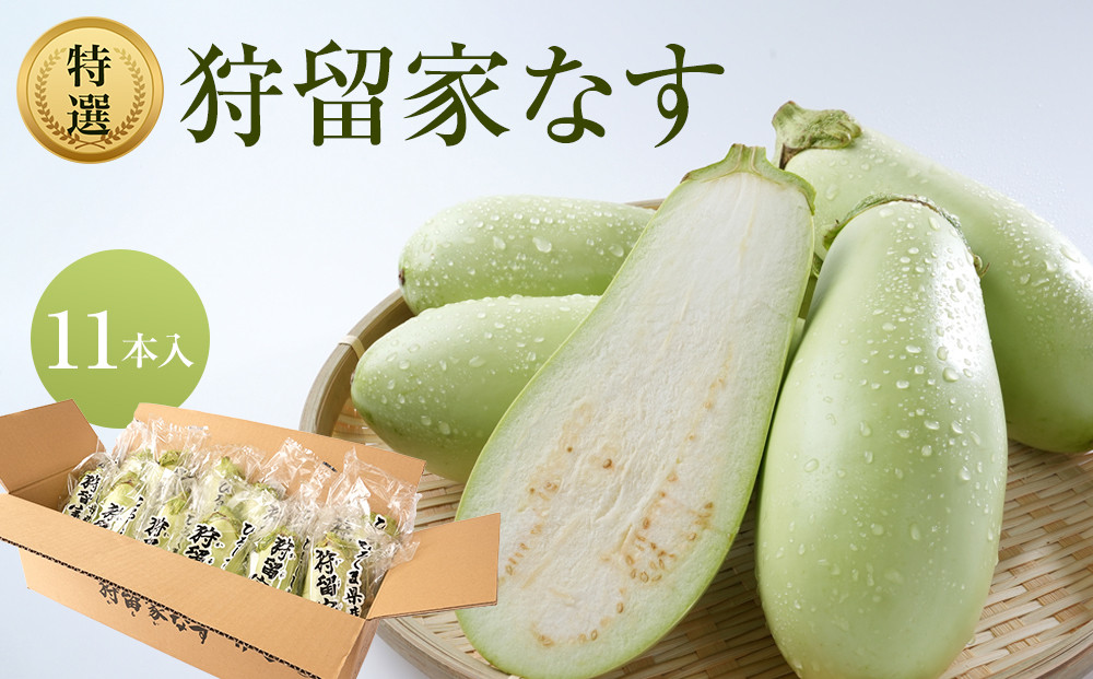 【先行予約】狩留家なす 11本 ≪2026年7月～発送開始≫