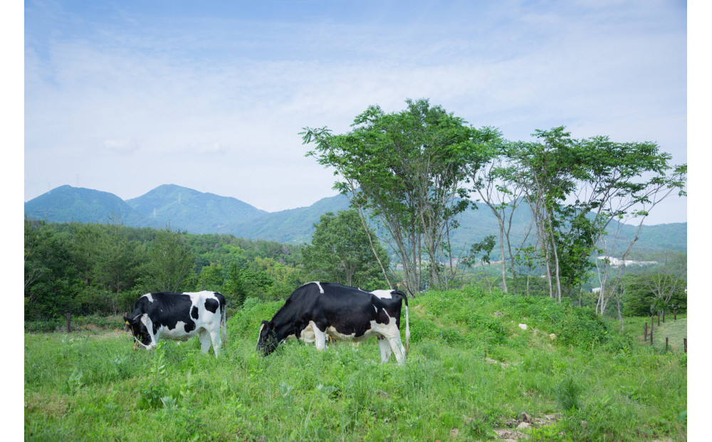 ひろしま さとやまプリン （プレーン６個入り）