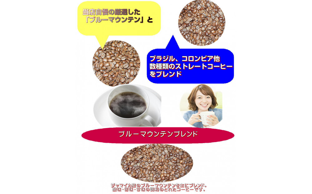  ブルーマウンテンブレンド三昧（500g）