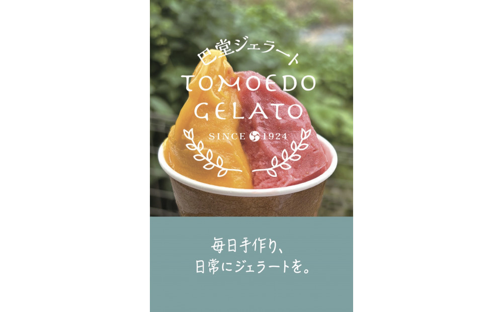 巴堂ジェラート6個セット【ふるさと納税限定】