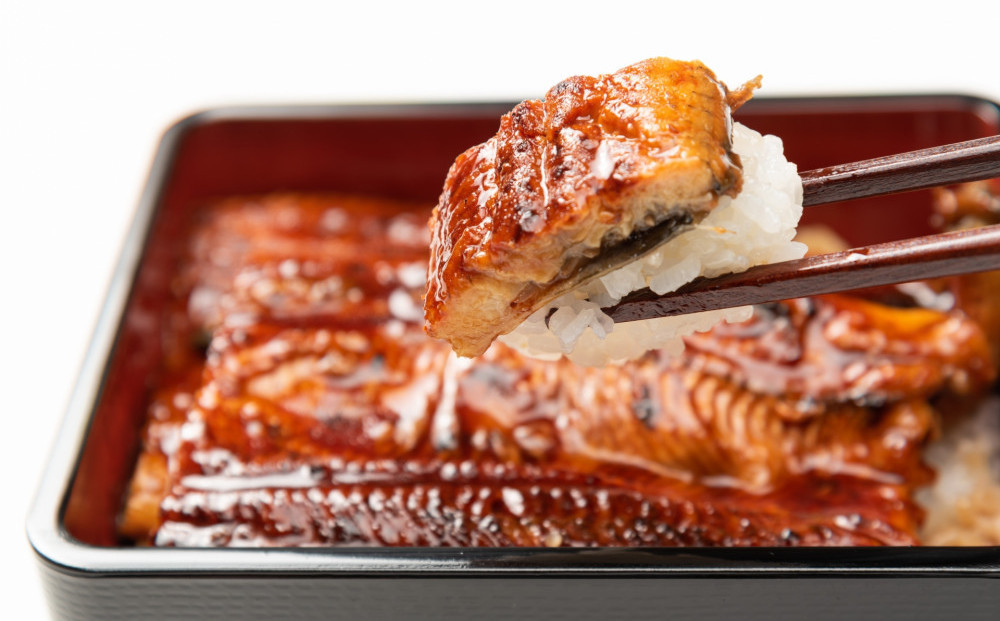 国産うなぎの蒲焼き 5尾（合計875g）