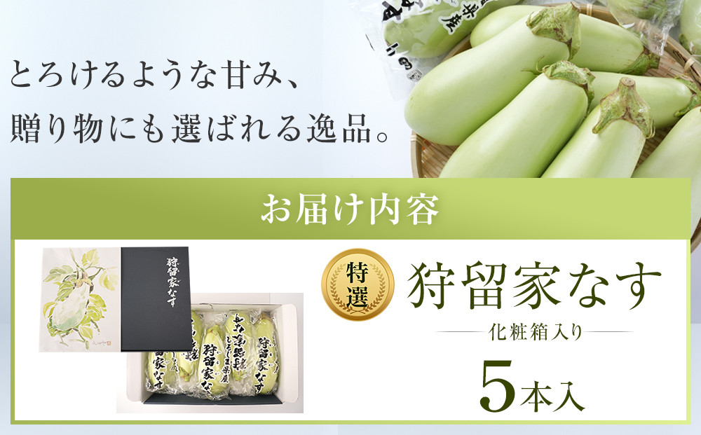 縲仙郁。御コ育エ縲醍叫逡吝ョカ縺ェ縺5譛ャ蜈・(蛹也イァ邂ア蜈・) 竕ェ2026蟷エ7譛茨ス樒匱騾髢句ァ銀沖