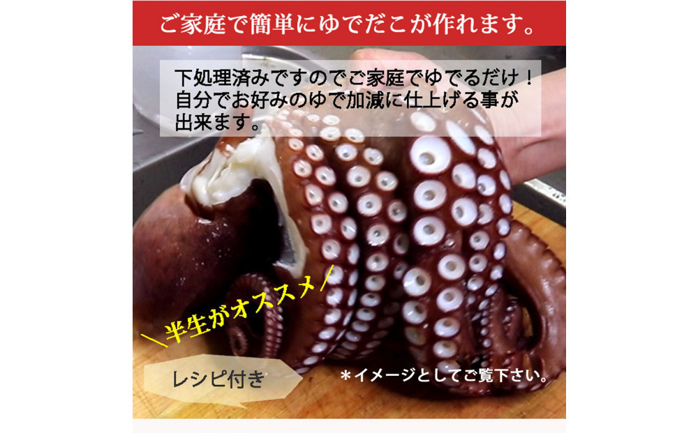 【お歳暮】活き締め真たこ1ぱい約1kg　レシピ付き 蛸 生 刺身