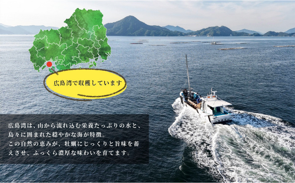 牡蠣　殻付き　２０個（3月限定）