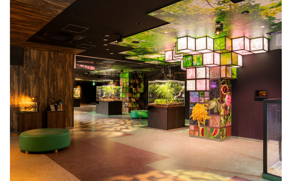 蠎蟲カ繧ゅ→縺セ縺。豌エ譌城、ィ縲蜈ィ鬢ィ雋ク蛻蛻ゥ逕ィ讓ゥ