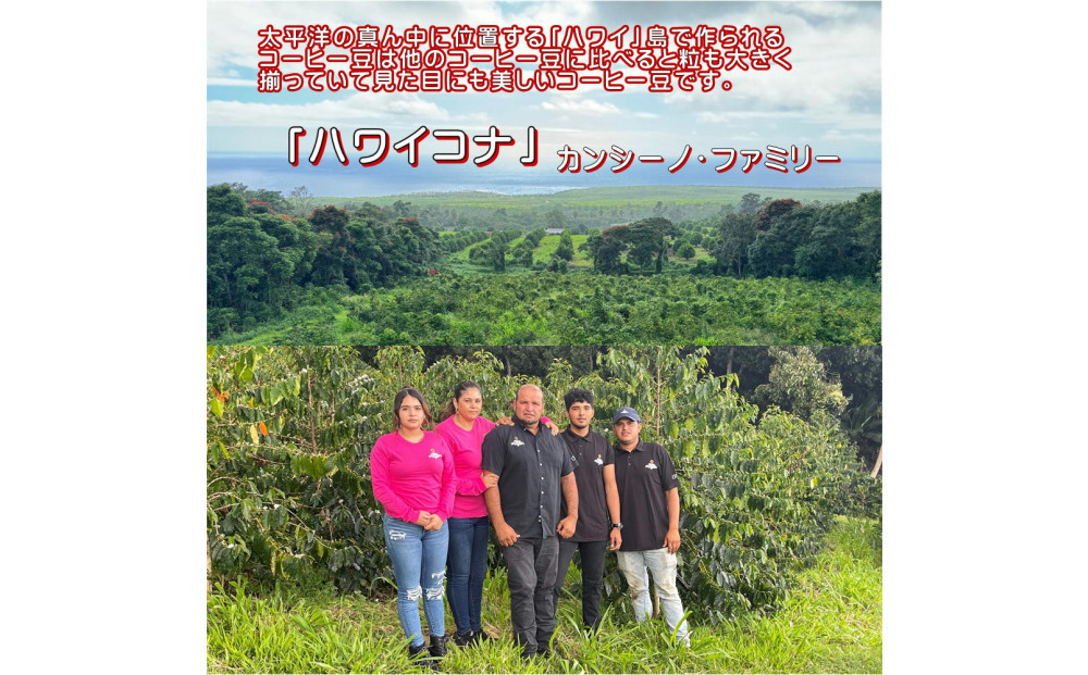 縲蝉クュ謖ス縺阪代後ワ繝ッ繧、繧ウ繝翫搾シ200gシ
