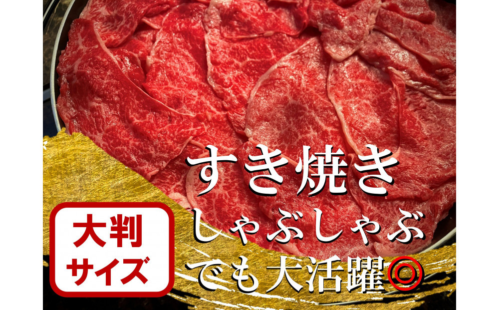 【訳あり】希少黒毛和牛「榊山牛」こま切れ肉500g（250g×2）すき焼き しゃぶしゃぶ 肉じゃが 黒毛和牛 グルメ  おすすめ