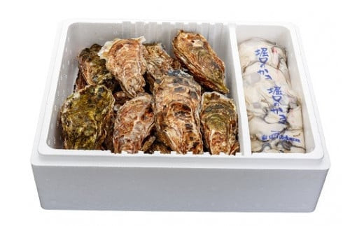 「堀口のかき」 生かきむき身と殻付きセット（むき身500g・殻付き8個 加熱用）