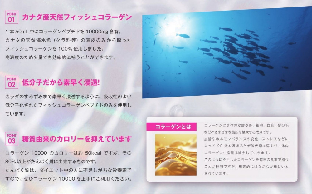 コラーゲン10000 50mL×10本入り 2セット