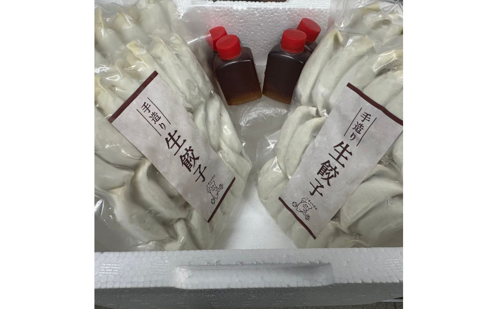 【餃子の美和】広島豚ミンチ入り手造り餃子（20個入り×4袋）