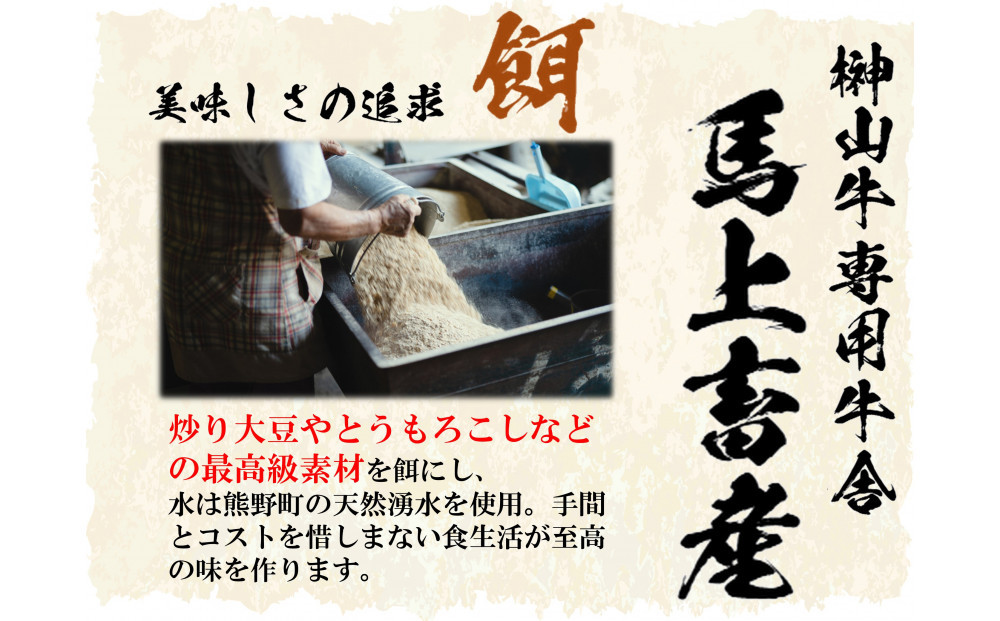 【訳あり】希少黒毛和牛「榊山牛」こま切れ肉500g（250g×2）すき焼き しゃぶしゃぶ 肉じゃが 黒毛和牛 グルメ  おすすめ