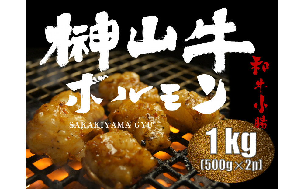 【1週間以内に発送！】 超希少和牛「榊山牛」ホルモン（小腸）焼肉・もつ鍋用 1kg　広島県内最高級和牛 新鮮 ぷりぷりホルモン グルメ 美食