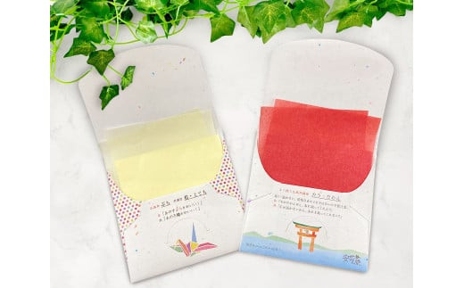 蠎蟲カ蠑√≠縺カ繧峨→繧顔エ吶そ繝繝 6遞ョ