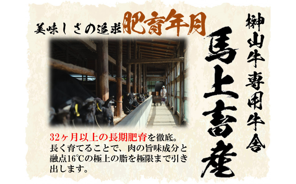 【訳あり】希少黒毛和牛「榊山牛」こま切れ肉500g（250g×2）すき焼き しゃぶしゃぶ 肉じゃが 黒毛和牛 グルメ  おすすめ