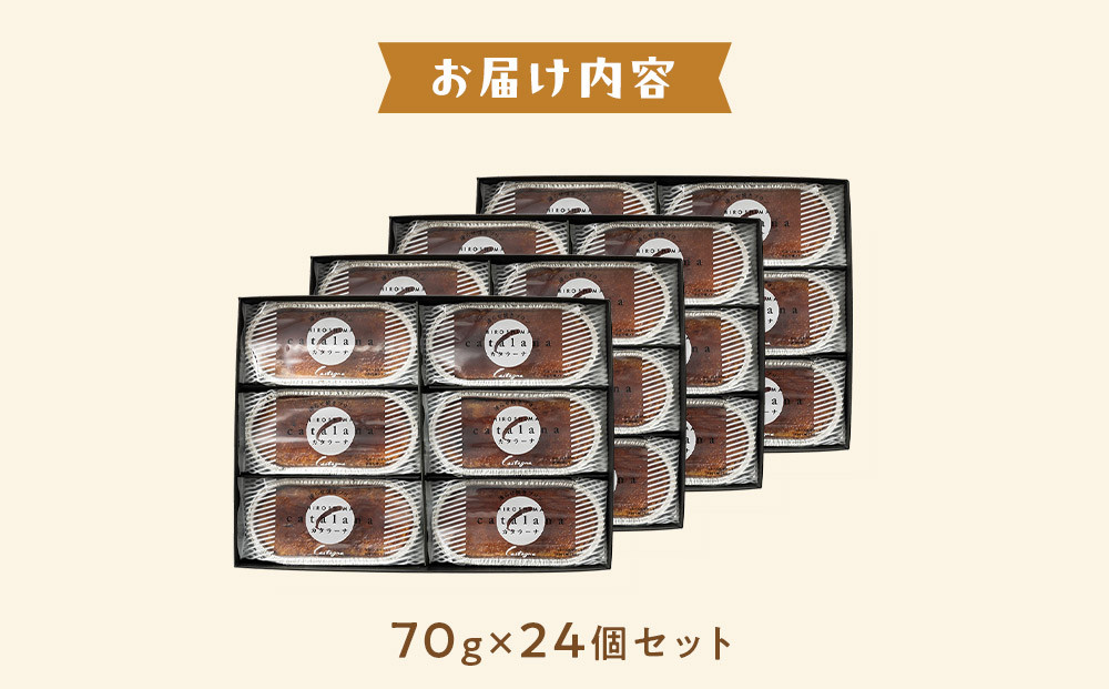 繧ォ繧ソ繝ゥ繝シ繝 24蛟九そ繝繝