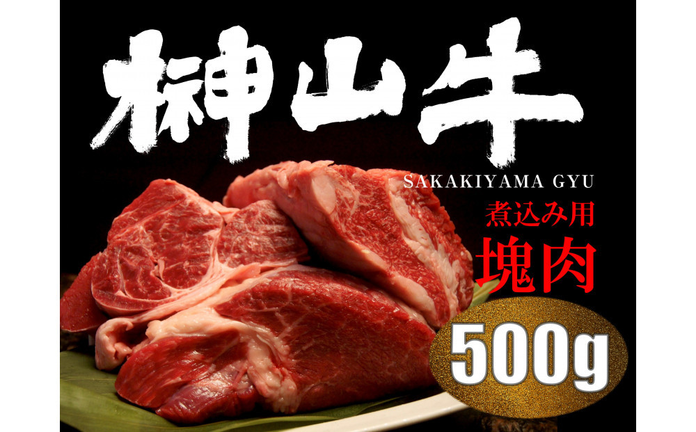 【訳アリ】 超希少黒毛和牛「榊山牛」煮込み用ブロック肉 500g  ビーフシチュー・ビーフカレー・赤ワイン煮等  美食  訳ありグルメ