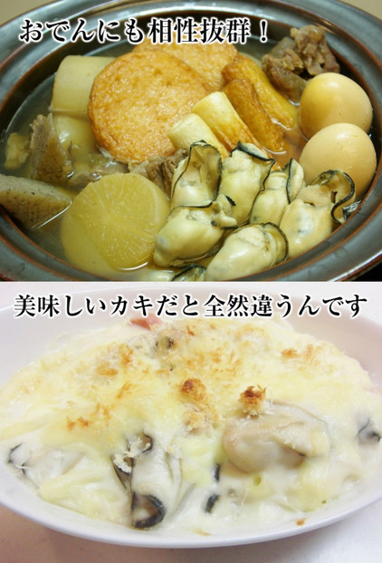 邀ウ逕ー豬キ逕」縺ョ蠎蟲カ縺九″ 繧縺崎コォ2kg (0.5kgテ4陲) 蜉辭ア隱ソ逅逕ィ