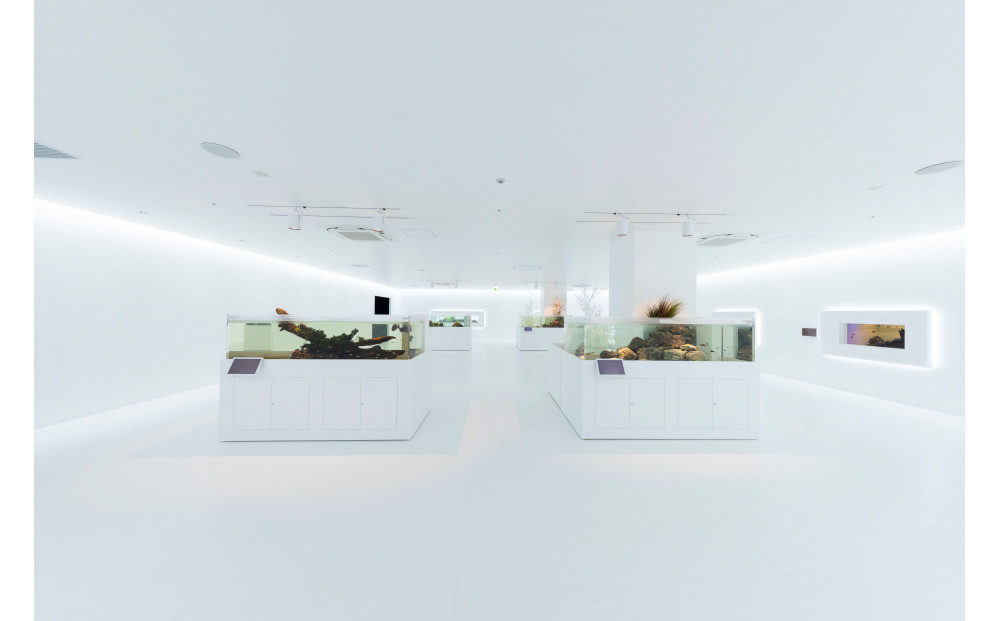 蠎蟲カ繧ゅ→縺セ縺。豌エ譌城、ィ縲繝壹い蜈・蝣エ蛻ク