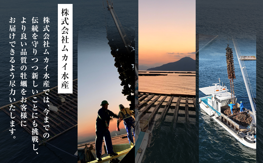 牡蠣 むき身 500g  加熱用