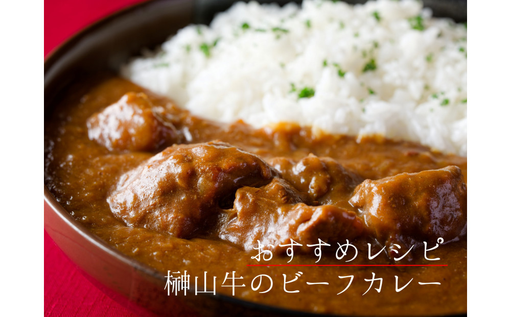 【訳アリ】 超希少黒毛和牛「榊山牛」煮込み用ブロック肉 500g  ビーフシチュー・ビーフカレー・赤ワイン煮等  美食  訳ありグルメ