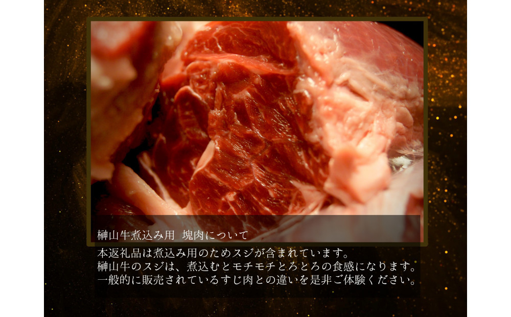 【訳アリ】 超希少黒毛和牛「榊山牛」煮込み用ブロック肉 500g  ビーフシチュー・ビーフカレー・赤ワイン煮等  美食  訳ありグルメ