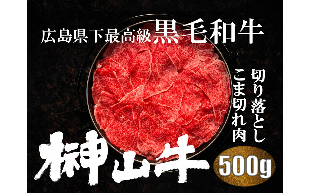 【訳あり】希少黒毛和牛「榊山牛」こま切れ肉500g（250g×２）すき焼き しゃぶしゃぶ 肉じゃが 黒毛和牛 グルメ  おすすめ