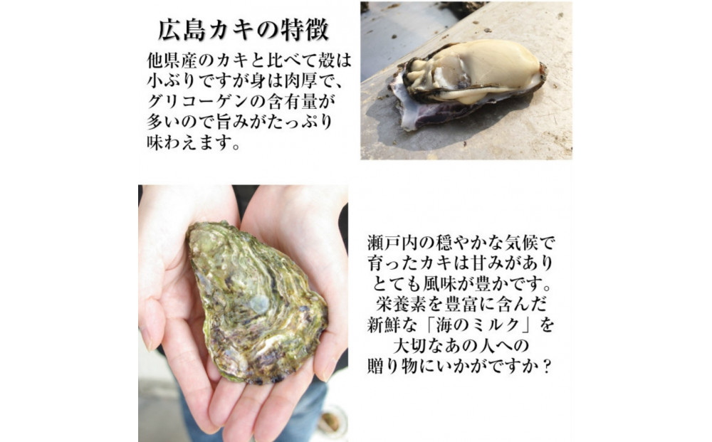 米田海産の広島かき むき身500g 加熱調理用