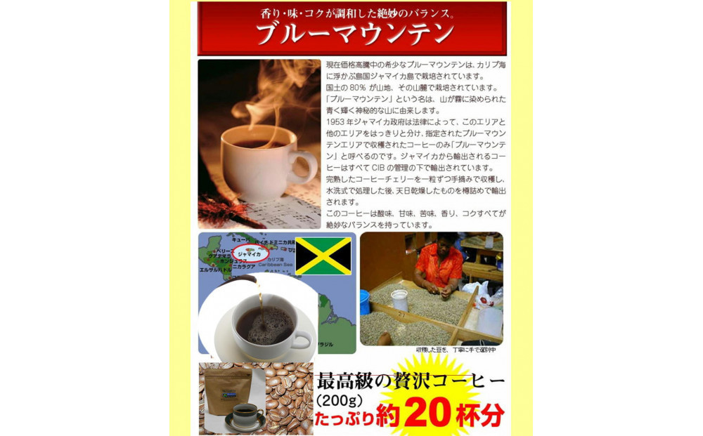 コーヒーの王様「ブルーマウンテン」（200g）【豆のまま】