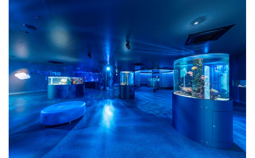 広島もとまち水族館　ファミリー入場券セット（大人2名、小学生2名）