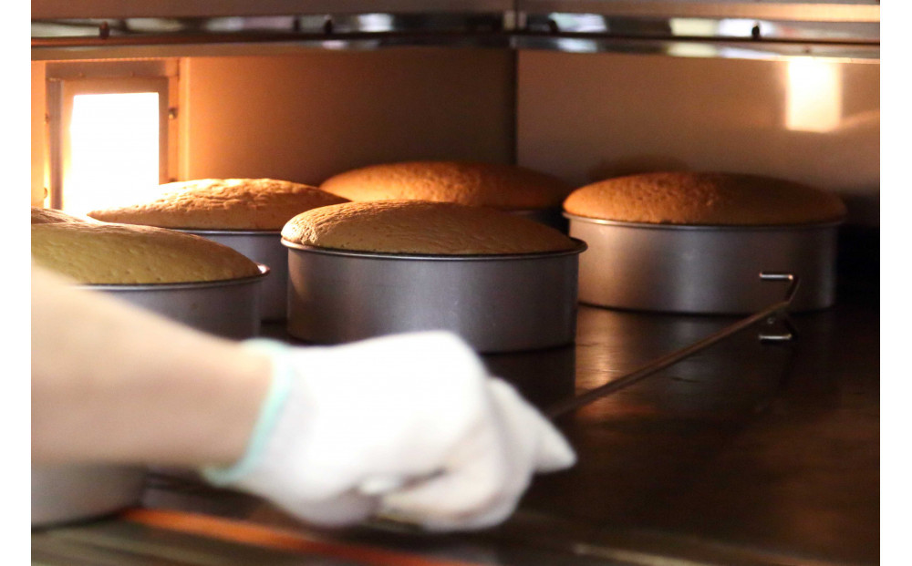 広島ご当地菓子　蘭楽堂のバターカステラ 2個