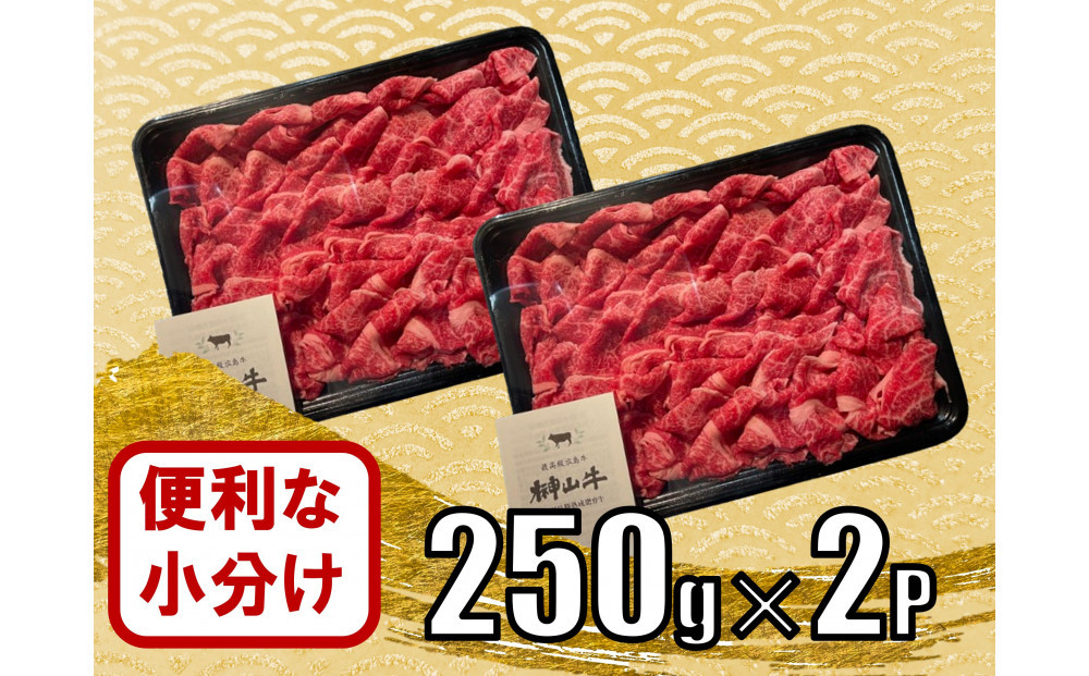 【訳あり】希少黒毛和牛「榊山牛」こま切れ肉500g（250g×2）すき焼き しゃぶしゃぶ 肉じゃが 黒毛和牛 グルメ  おすすめ