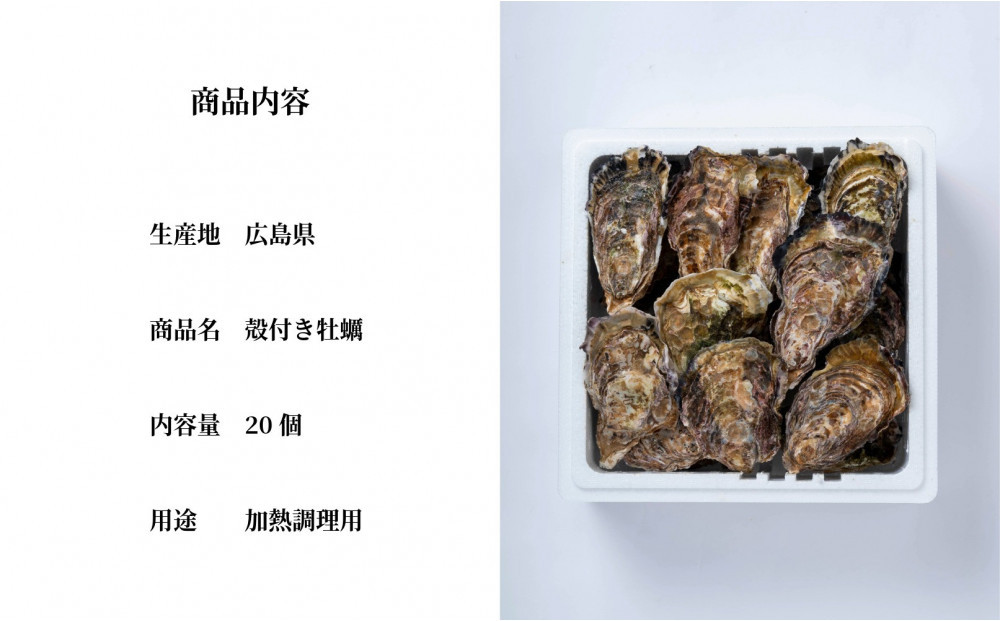 牡蠣　殻付き　２０個（3月限定）