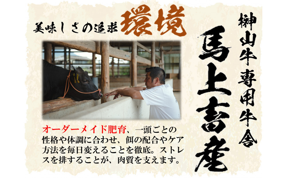【訳あり】希少黒毛和牛「榊山牛」こま切れ肉500g（250g×2）すき焼き しゃぶしゃぶ 肉じゃが 黒毛和牛 グルメ  おすすめ