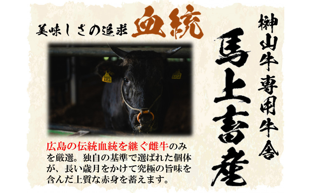 【訳あり】希少黒毛和牛「榊山牛」こま切れ肉500g（250g×2）すき焼き しゃぶしゃぶ 肉じゃが 黒毛和牛 グルメ  おすすめ