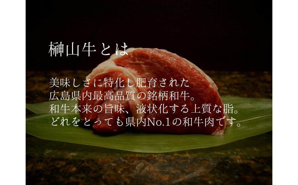【訳アリ】 超希少黒毛和牛「榊山牛」煮込み用ブロック肉 500g  ビーフシチュー・ビーフカレー・赤ワイン煮等  美食  訳ありグルメ