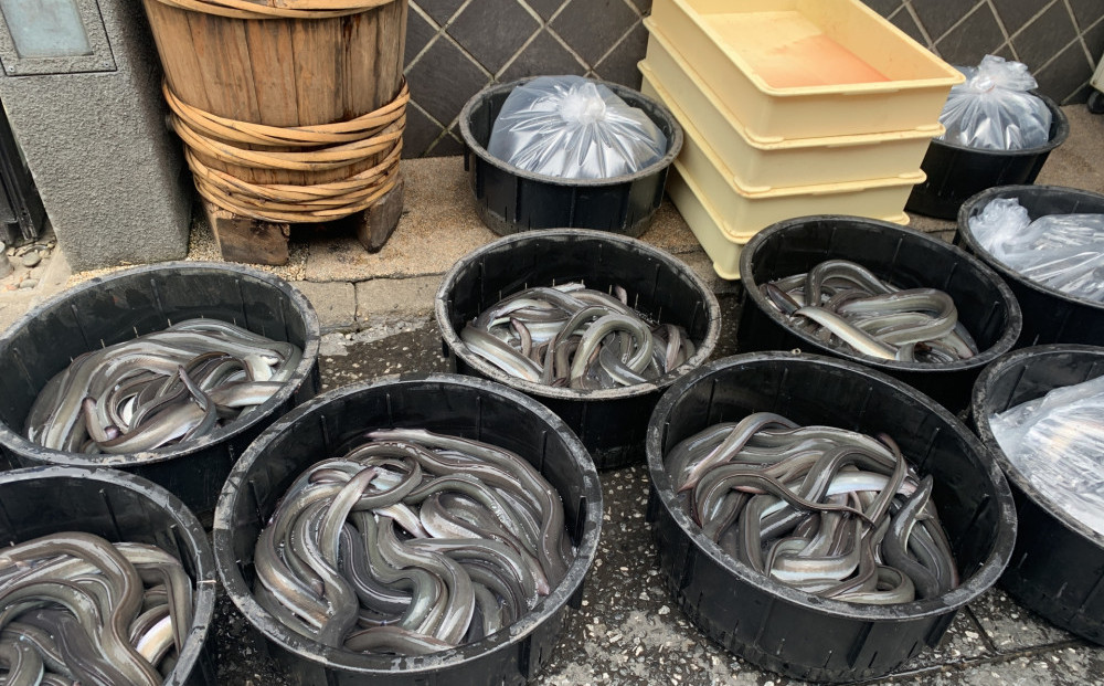 国産うなぎの蒲焼き 5尾（合計875g）