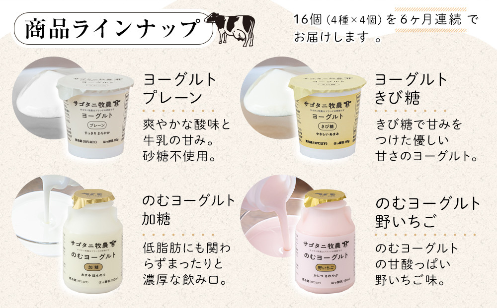 ＜６ヶ月連続お届け 定期便＞ 牧場直送 サゴタニ牧農 ヨーグルト16個（4種×4）セット