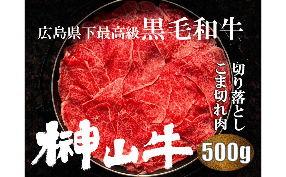 【訳あり】希少黒毛和牛「榊山牛」こま切れ肉500g（250g×2）すき焼き しゃぶしゃぶ 肉じゃが 黒毛和牛 グルメ  おすすめ