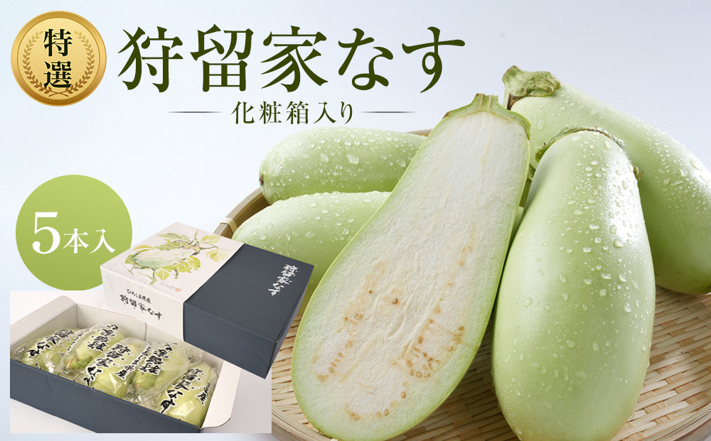 【先行予約】狩留家なす5本入(化粧箱入) ≪2026年7月～発送開始≫