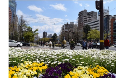 公共花壇の維持管理