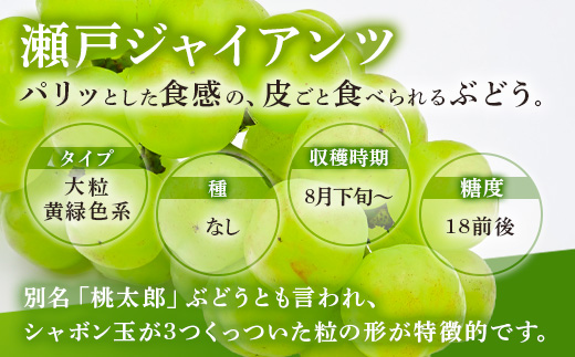 西部ぶどう園 瀬戸ジャイアンツ1房と旬のブドウ1房 計約1.2kg 葡萄 フルーツ 果物 ※2024年9月初旬～10月初旬頃に順次発送予定　※沖縄・離島への配送不可